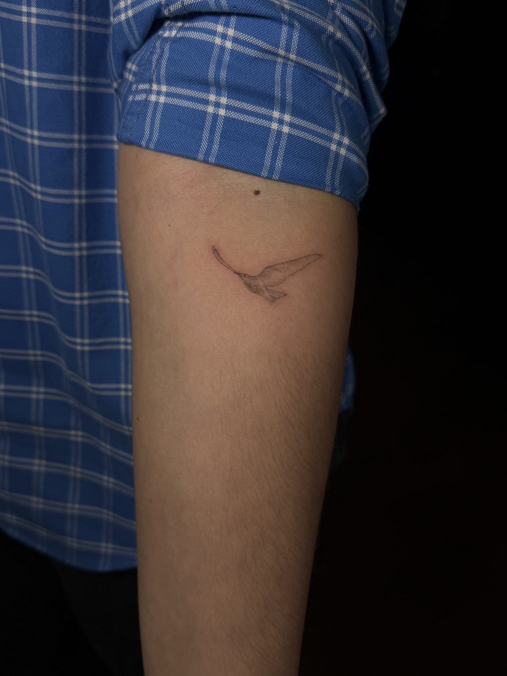 Fine-line swallow tattoo on the forearm.